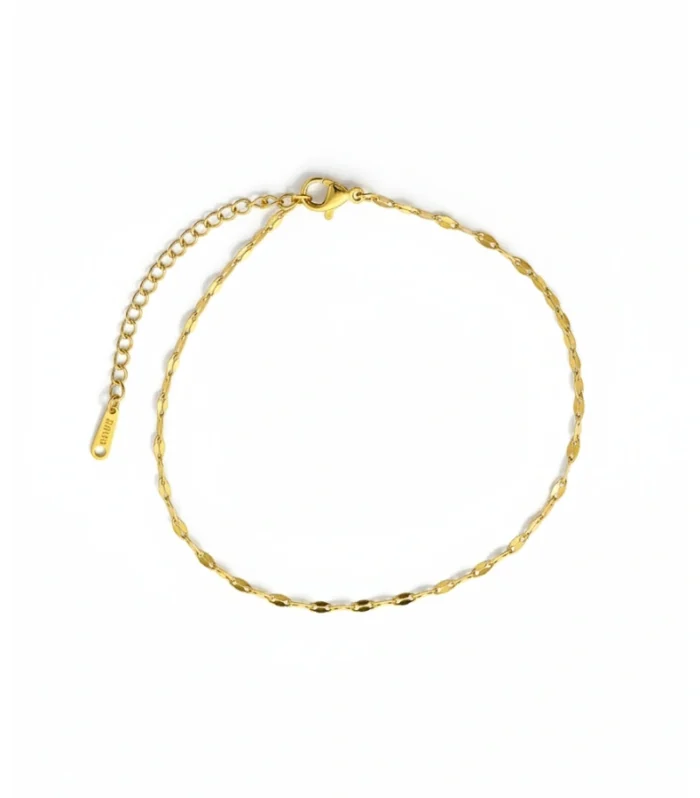 Elegant Gold Anklet